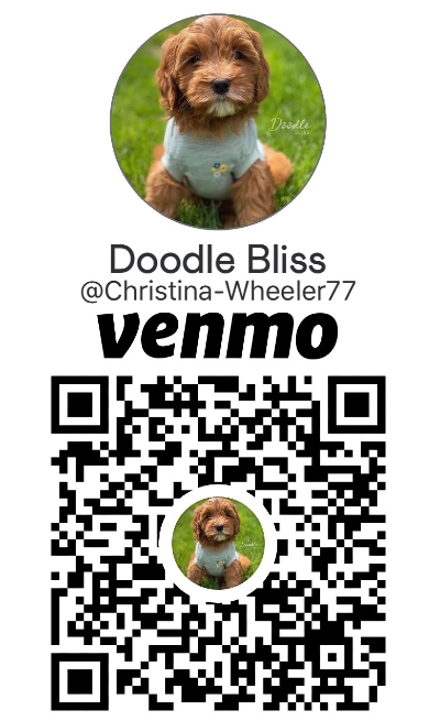 Venmo QR Code