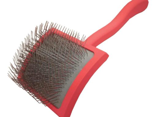 Hands down the Best Goldendoodle Brush